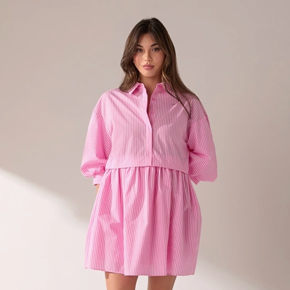 Classic Pink Striped Collared Shirt Dress - Picture 1 of 3